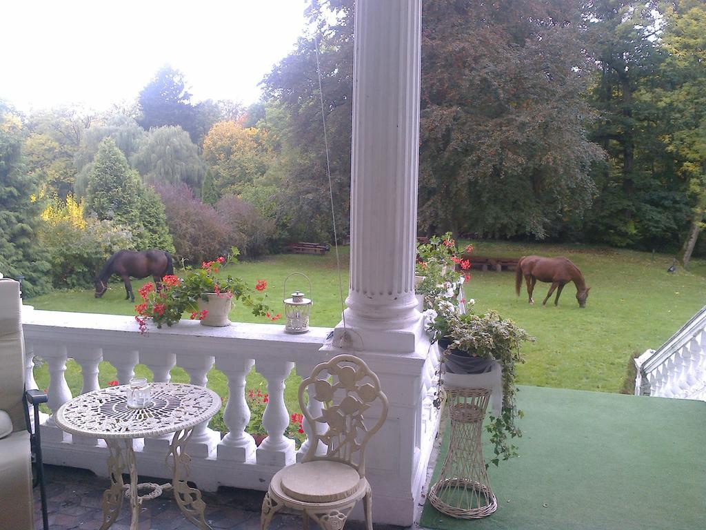 Agroturystyka "Palac W Janowie" 객실 사진